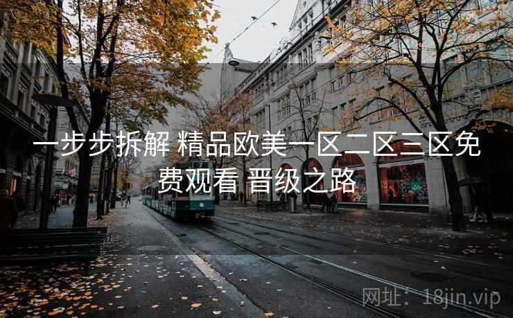 一步步拆解 精品欧美一区二区三区免费观看 晋级之路