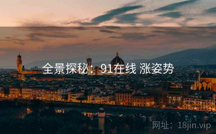 全景探秘：91在线 涨姿势