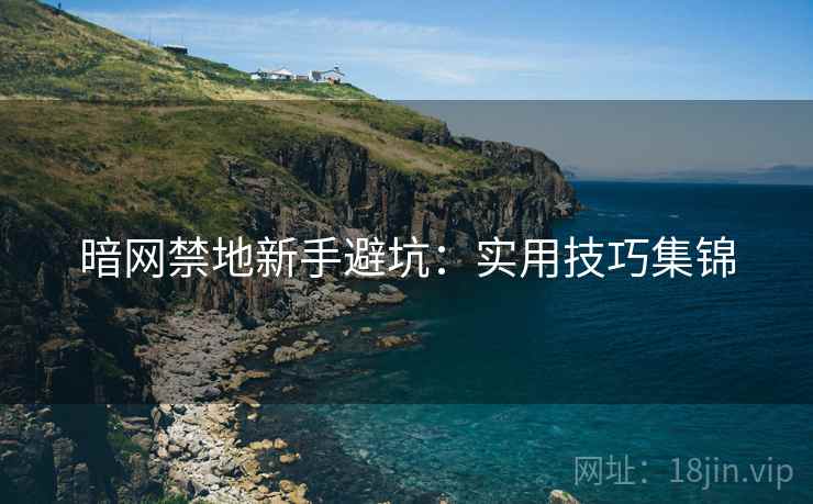暗网禁地新手避坑：实用技巧集锦