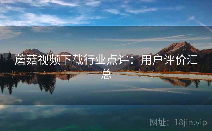 蘑菇视频下载行业点评：用户评价汇总